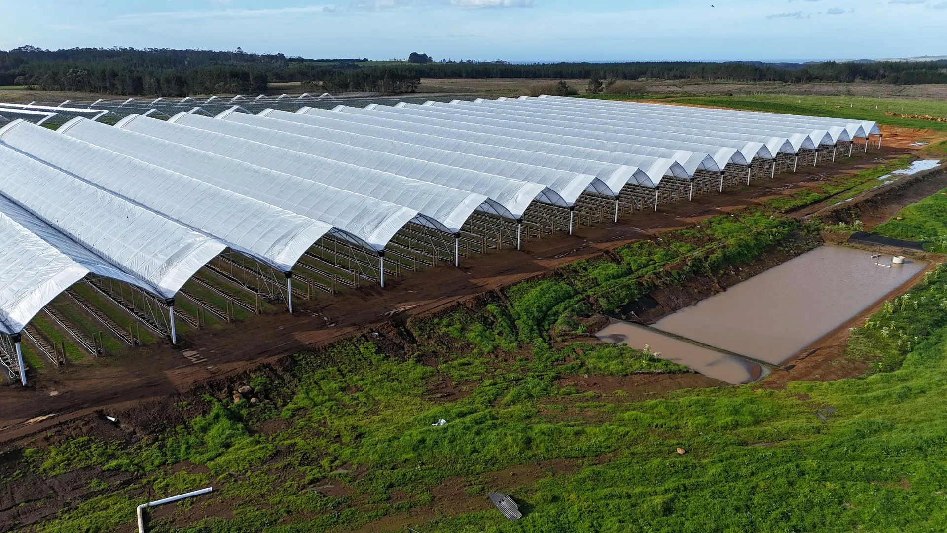 Horticulture Tunnel Houses